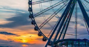 Seagull by Wheel at Sunset